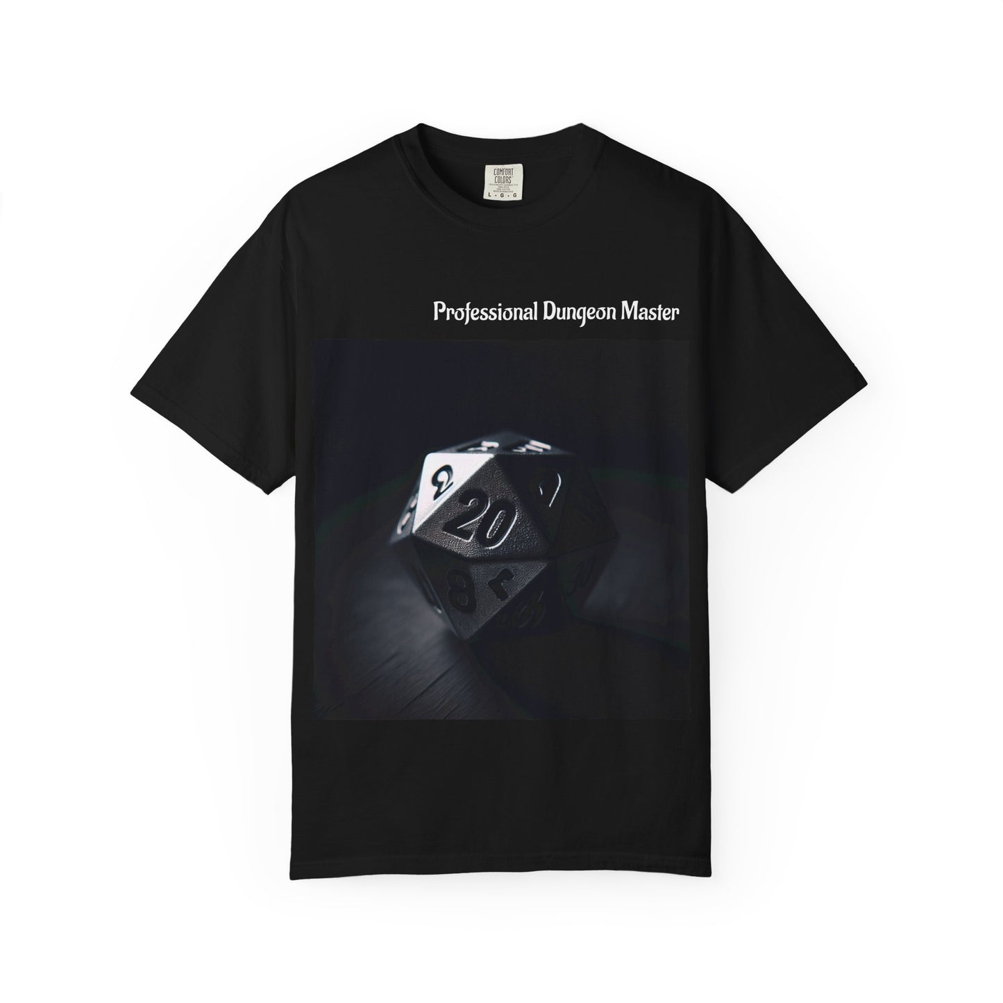 Professional Dungeon Master T-Shirt